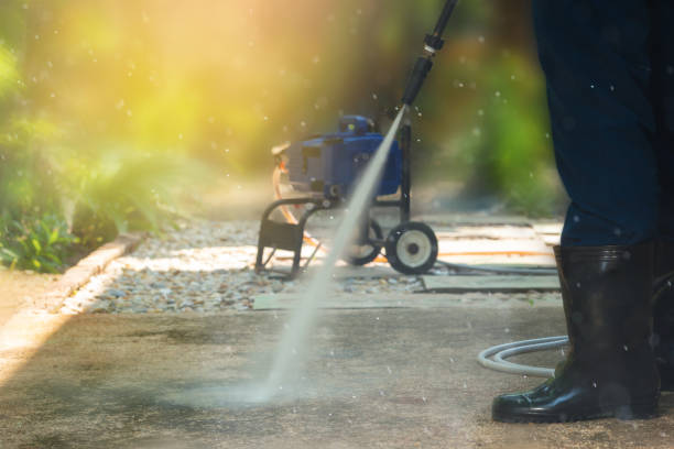 Animal Enclosure Cleaning in Fruitdale, CA